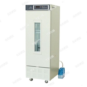 霉菌培养箱 MJX-260