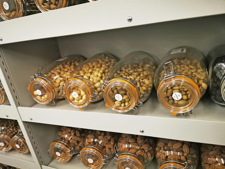 种子资源库 种子资源库