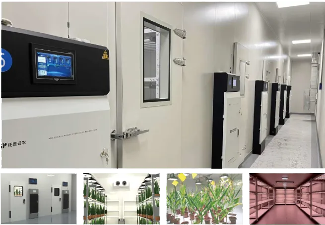 智能人工气候室.png