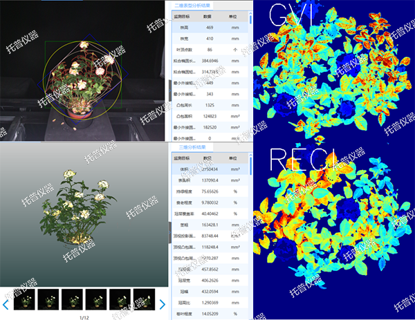 1727142307328057.png 3.png