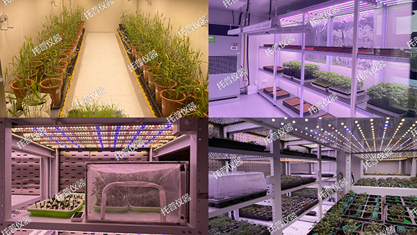 1727142331121059.jpg 4.jpg