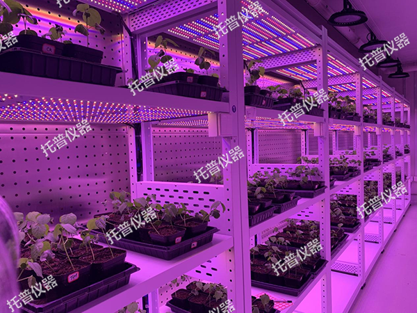 1741253430249238.png 3.png